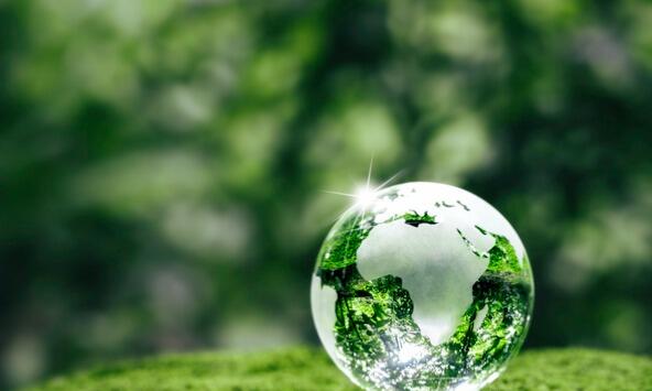 Glass globe in a forest
